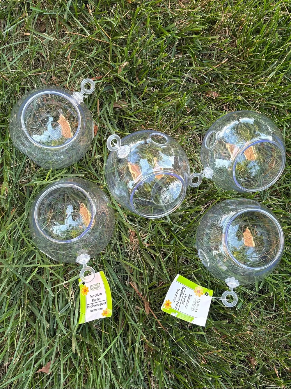 Clear Plastic Hanging Terrarium Ornaments - Set of 5